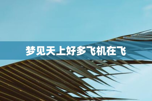 梦见天上好多飞机在飞