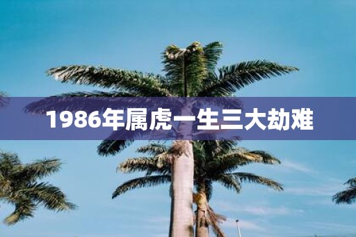 1986年属虎一生三大劫难