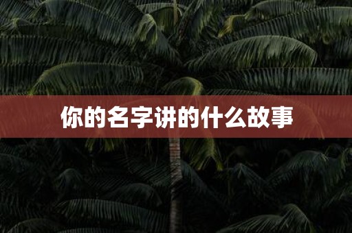 你的名字讲的什么故事