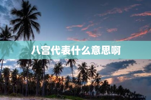 八宫代表什么意思啊