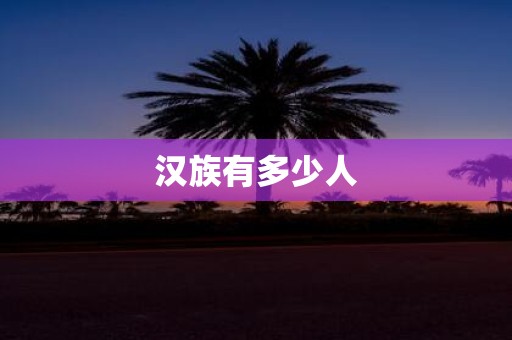 汉族有多少人