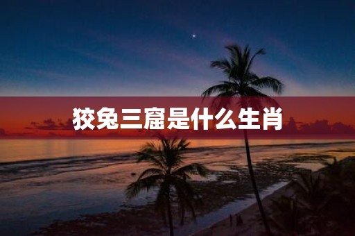 狡兔三窟是什么生肖