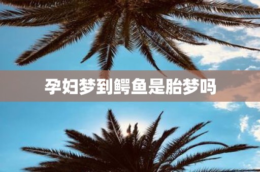 孕妇梦到鳄鱼是胎梦吗