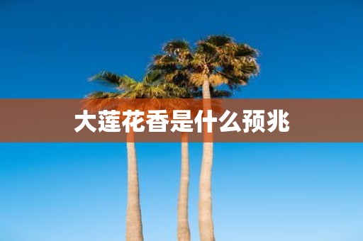 大莲花香是什么预兆