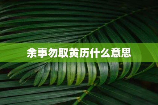 余事勿取黄历什么意思