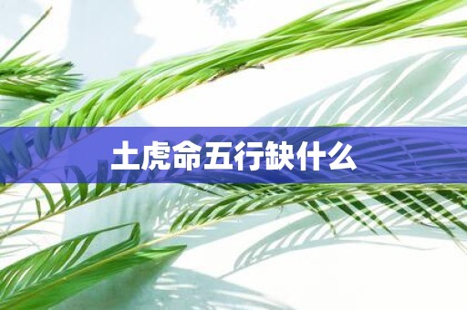 土虎命五行缺什么