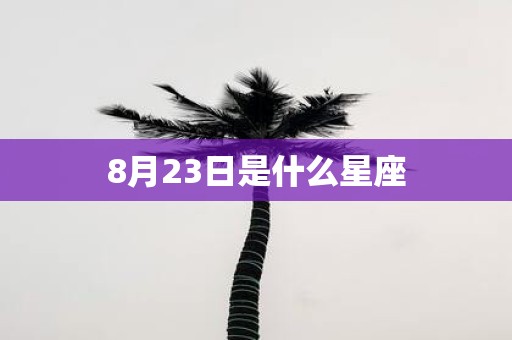 8月23日是什么星座