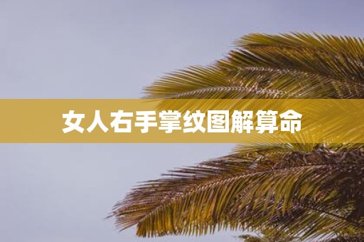 女人右手掌纹图解算命