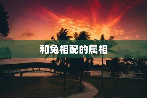 和兔相配的属相
