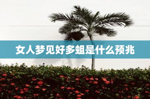 女人梦见好多蛆是什么预兆