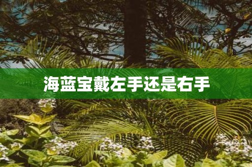 海蓝宝戴左手还是右手