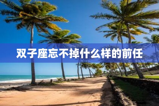 双子座忘不掉什么样的前任