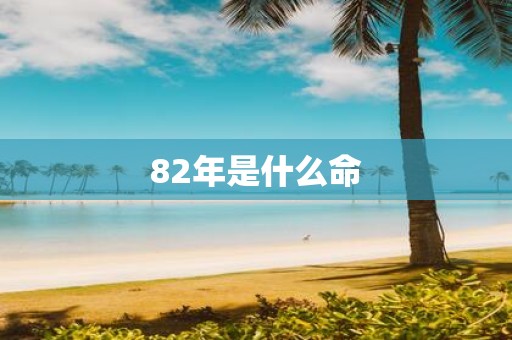 82年是什么命
