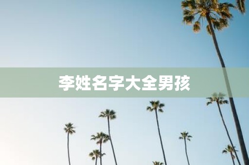 李姓名字大全男孩