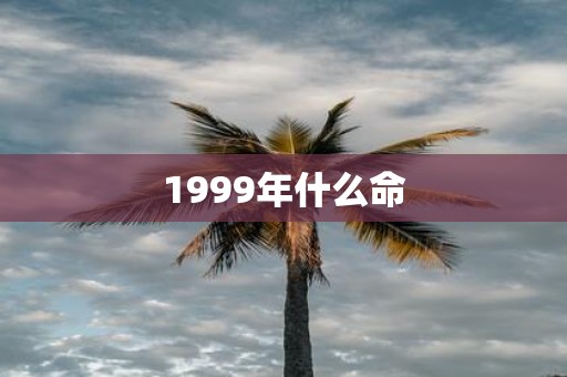 1999年什么命