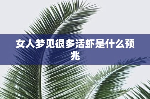 女人梦见很多活虾是什么预兆