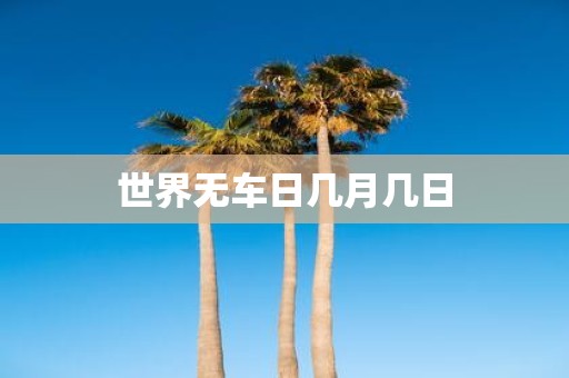 世界无车日几月几日