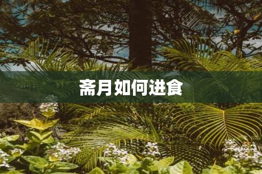 斋月如何进食
