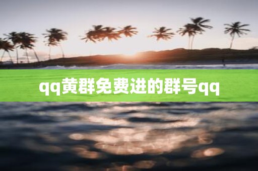 qq黄群免费进的群号qq