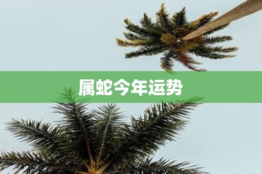 属蛇今年运势