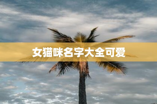 女猫咪名字大全可爱