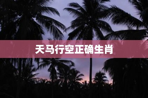 天马行空正确生肖