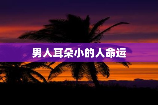 男人耳朵小的人命运