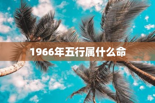 1966年五行属什么命