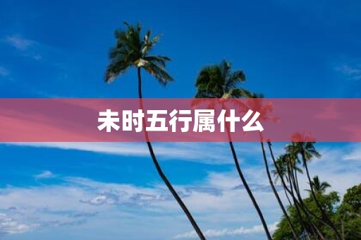 未时五行属什么