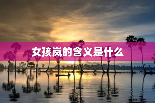 女孩岚的含义是什么
