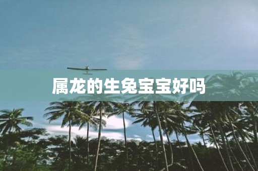 属龙的生兔宝宝好吗
