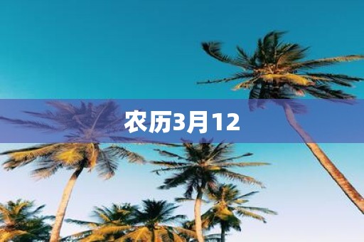 农历3月12