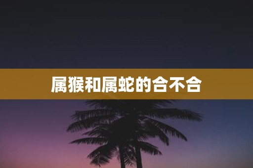属猴和属蛇的合不合