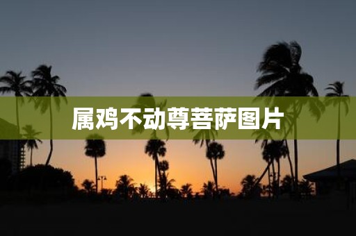 属鸡不动尊菩萨图片