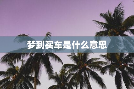 梦到买车是什么意思