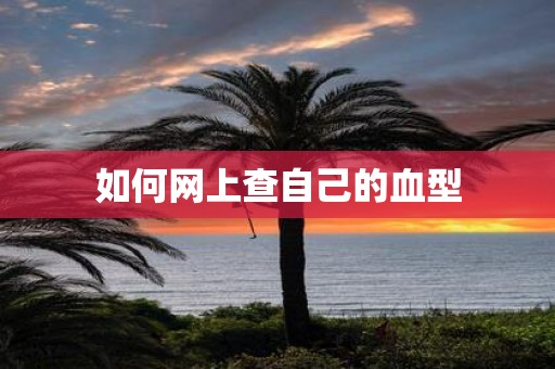 如何网上查自己的血型