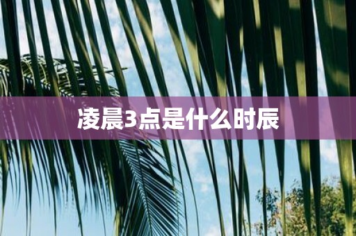 凌晨3点是什么时辰