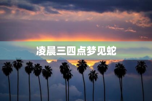 凌晨三四点梦见蛇