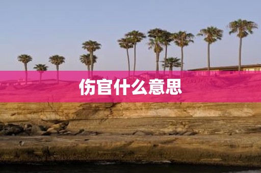 伤官什么意思