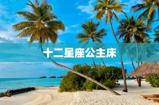 十二星座公主床