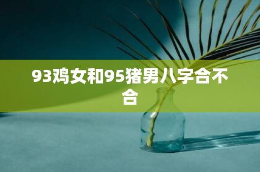 93鸡女和95猪男八字合不合