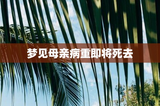 梦见母亲病重即将死去