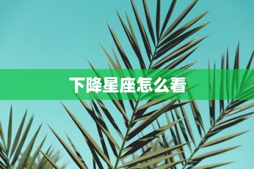 下降星座怎么看