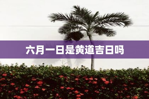 六月一日是黄道吉日吗