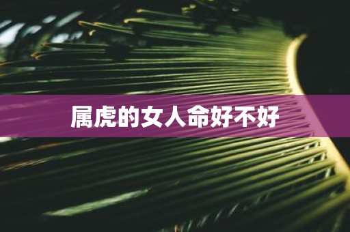 属虎的女人命好不好