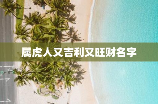 属虎人又吉利又旺财名字