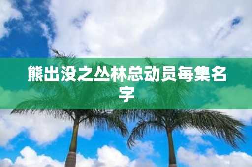 熊出没之丛林总动员每集名字