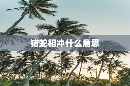 猪蛇相冲什么意思