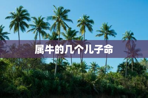 属牛的几个儿子命