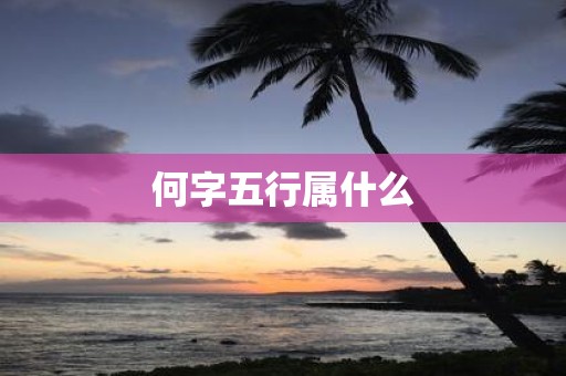 何字五行属什么